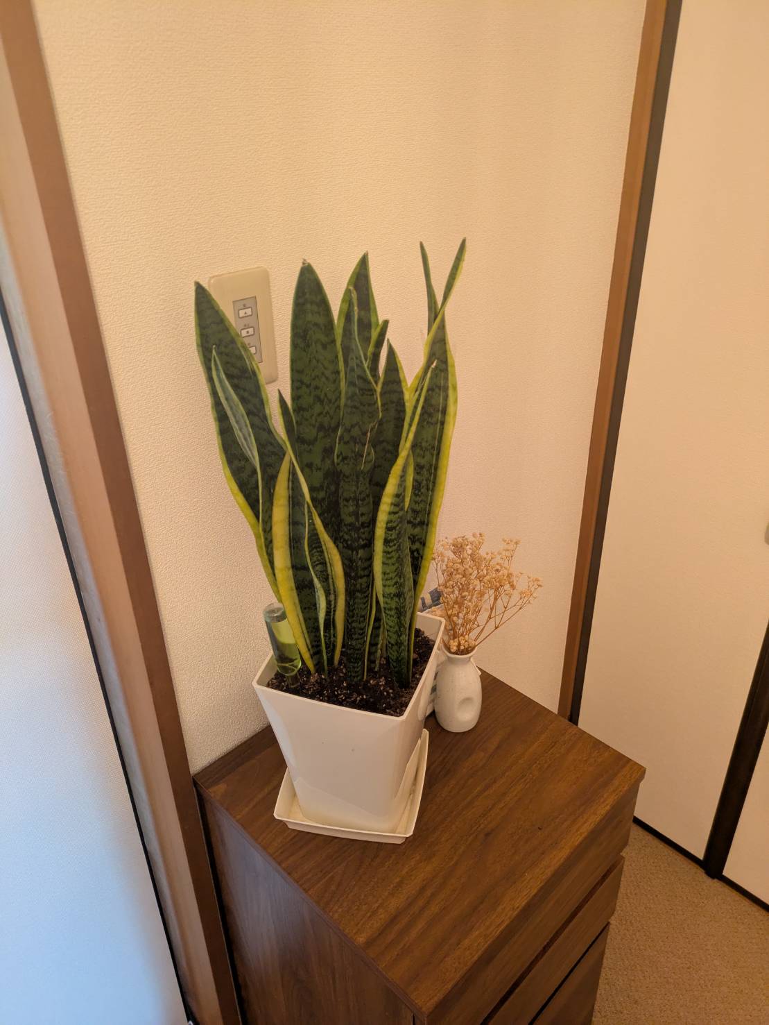 カウンセリングルーム