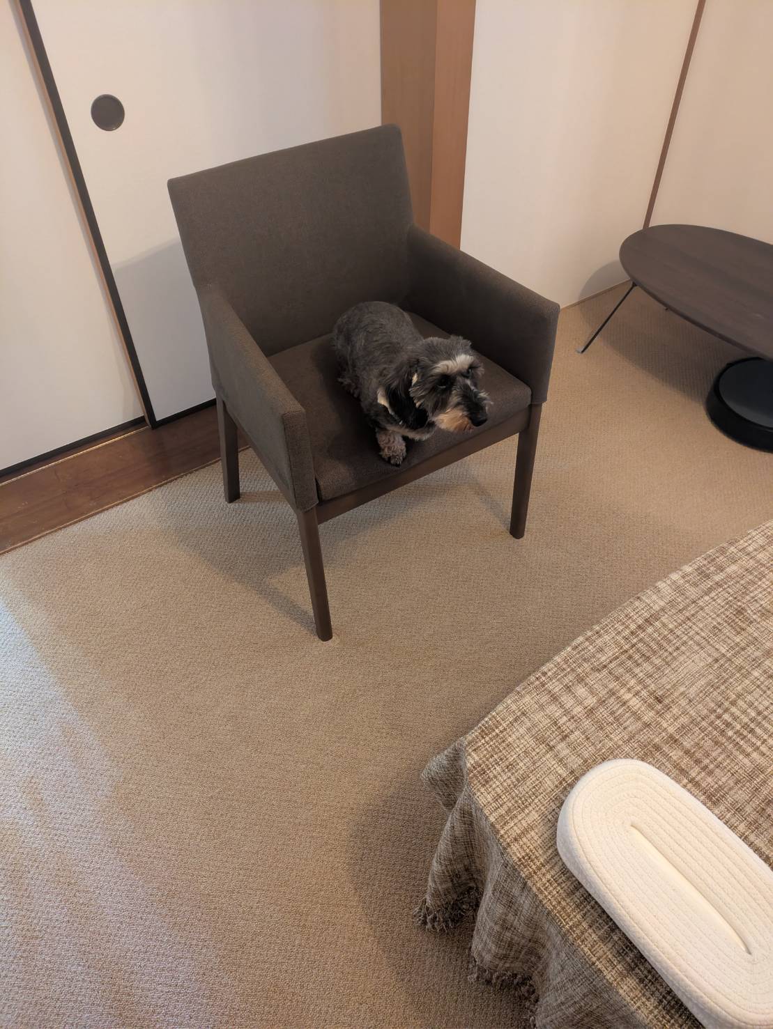 カウンセリングルーム